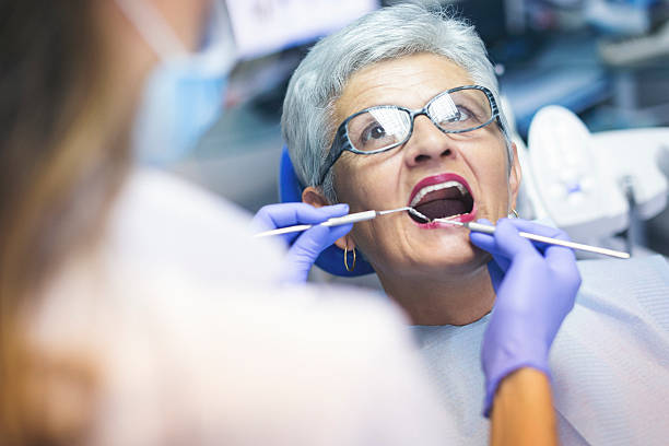 Professional Holistic Dental Care Services in Frenchtown, MT